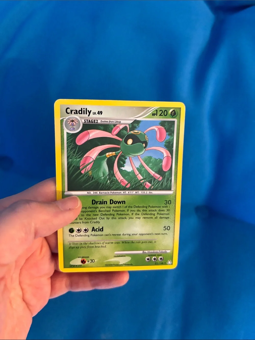Pokémon Cards Cradily HP 120 2008 NWOTS Grass Type Monster